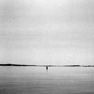 FEDERSEN - Rose Bay
