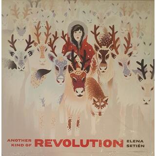 ELENA SETIEN - Another Kind Of Revolution