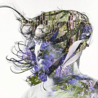 BIBIO - Ribbons