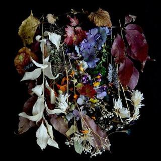 PAWS - Your Church On Bonfire