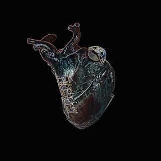 SEAMUS BLAKE - Guardians Of The Heart Machine