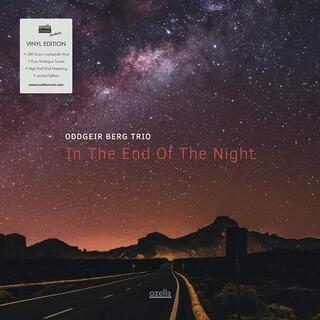 ODDGEIR BERG TRIO - In The End Of The Night