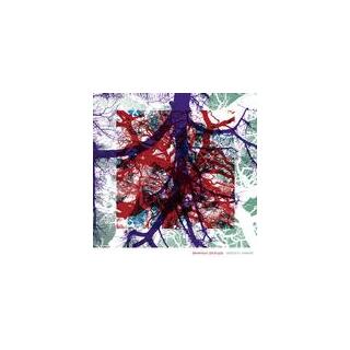 SILVERSUN PICKUPS - Widow&#39;s Weeds (Vinyl)