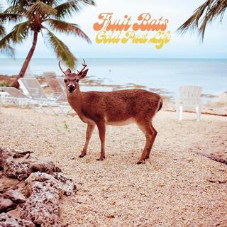 FRUIT BATS - Gold Past Life (Opaque Aqua Vinyl)