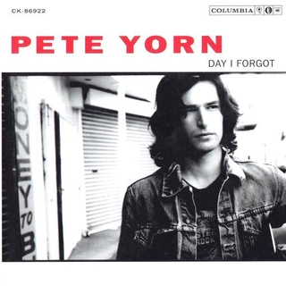 PETE YORN - Day I Forgot (Vinyl)