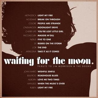 VARIOUS ARTISTS - Tribute To Jim Morrison &amp; The Doors