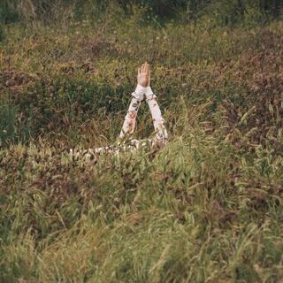 VERITE - New Skin (Lp)