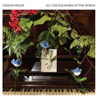 CRAYON FIELDS - All The Pleasures Of The World (Deluxe Reissue)