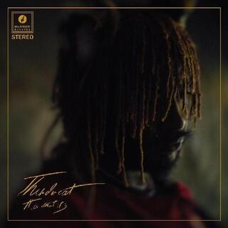 THUNDERCAT - It Is What It Is (Standard Vinyl)