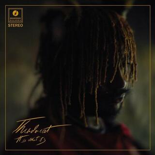 THUNDERCAT - It Is What It Is (Limited Clear Vinyl)