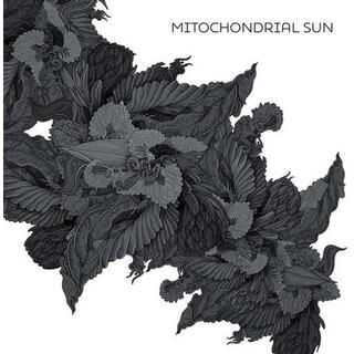MITOCHONDRIAL SUN - Mitochondrial Sun