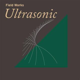 FIELD WORKS - Ultrasonic
