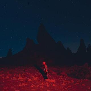 PHOEBE BRIDGERS - Punisher