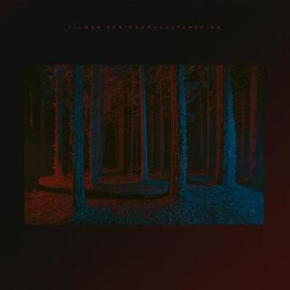 TILMAN ROBINSON - Culturecide