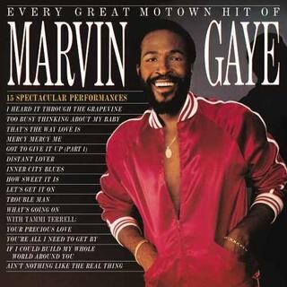 MARVIN GAYE - Every Great Motown Hit Of Marvin Gaye: 15 Spectacu