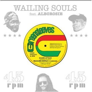 WAILING SOULS - Shark Attack