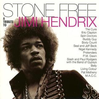 SOUNDTRACK - Stone Free Jimi Hendrix Tribute (140 Gr - Ltd.)