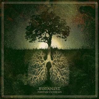 BOTANIST - Photosynthesis