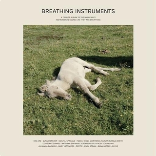 VARIOUS ARTISTS - Breathing Instruments