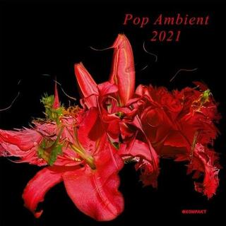 VARIOUS ARTISTS - Pop Ambient 2021