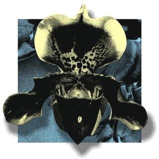 VARIOUS ARTISTS - Nowhere 02