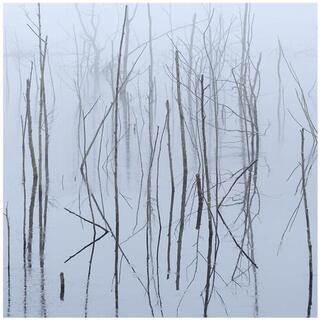 OLHAVA - Frozen Bloom (2lp)