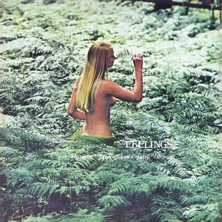 JAY RICHFORD AND GARY STEVAN - Feelings (Lp) (2025 Repress)