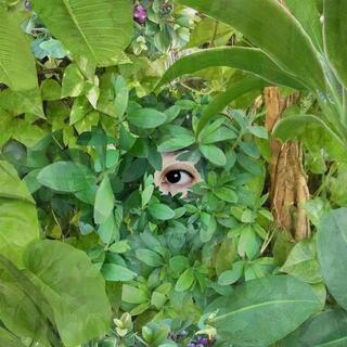 SEKINE MARI - Beginning