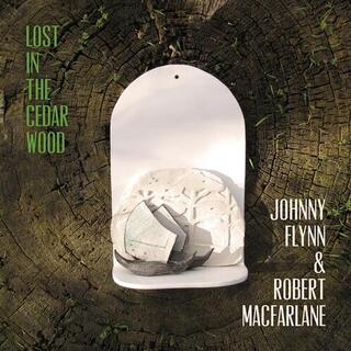 JOHNNY &amp; ROBERT MACFARLANE FLYNN - Lost In The.. -download-
