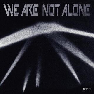 VARIOUS ARTISTS - We Are Not Alone