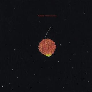 MALADY - Ainavihantaa -gatefold-