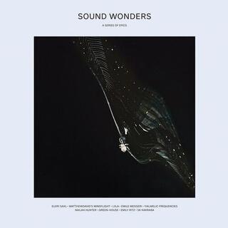 VARIOUS ARTISTS - Sound Wonders