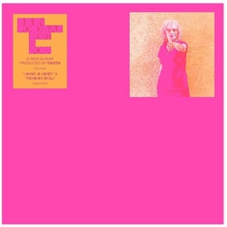 VIVIEN GOLDMAN - Next Is Now