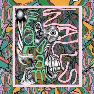 SEAFOAM WALLS - Xvi (Seafoam Green Vinyl)