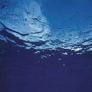 AKIRA ITO - Marine Flowers