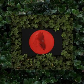 MOSES SUMNEY - Live From Blackalachia