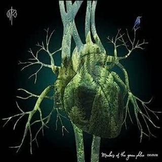 MARTIN RUBASHOV - Members Of The Green Flox