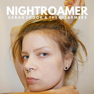 SARAH SHOOK &amp; THE DISARMERS - Nightroamer