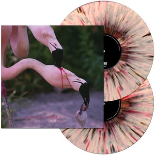 WITHOUT WAVES - Comedian [2lp] (Pink With Red &amp; Black Splatter Vinyl)