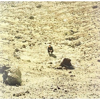 BEN HOWARD - Noonday Dream