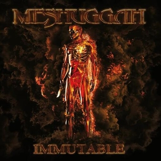 MESHUGGAH - Immutable