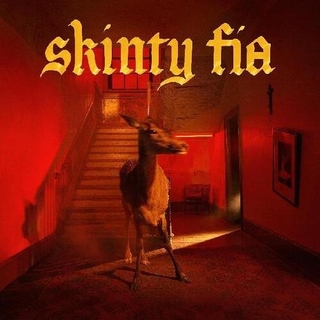 FONTAINES D.C. - Skinty Fia -deluxe-