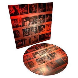 CHRIS CORNELL - No One Sings Like(Lp)