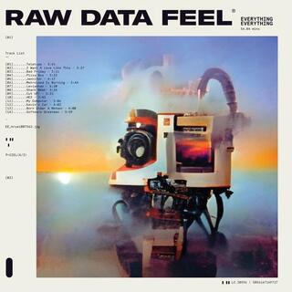 EVERYTHING EVERYTHING - Raw Data Feel