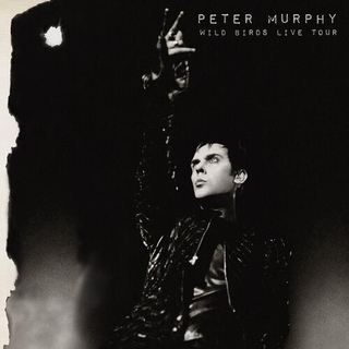 PETER MURPHY - Wild Birds Live Tour (Purple &amp; Black)