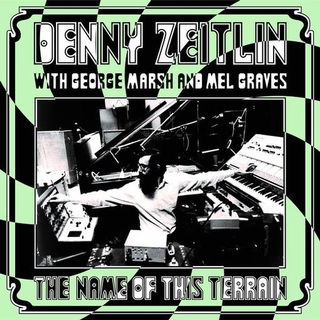 DENNY ZEITLIN - Name Of This Terrain