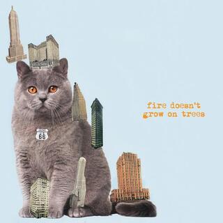 BRIAN JONESTOWN MASSACRE - Fire Doesn&#39;t Grow On Trees (Vinyl)