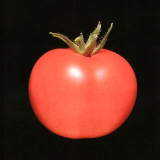 CHRONOPHAGE - Chronophage