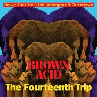 VARIOUS ARTISTS - Brown Acid - Fourteenth Trip (Various Artists)