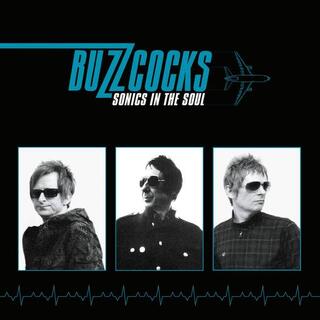 BUZZCOCKS - Sonics In The Soul (Vinyl)